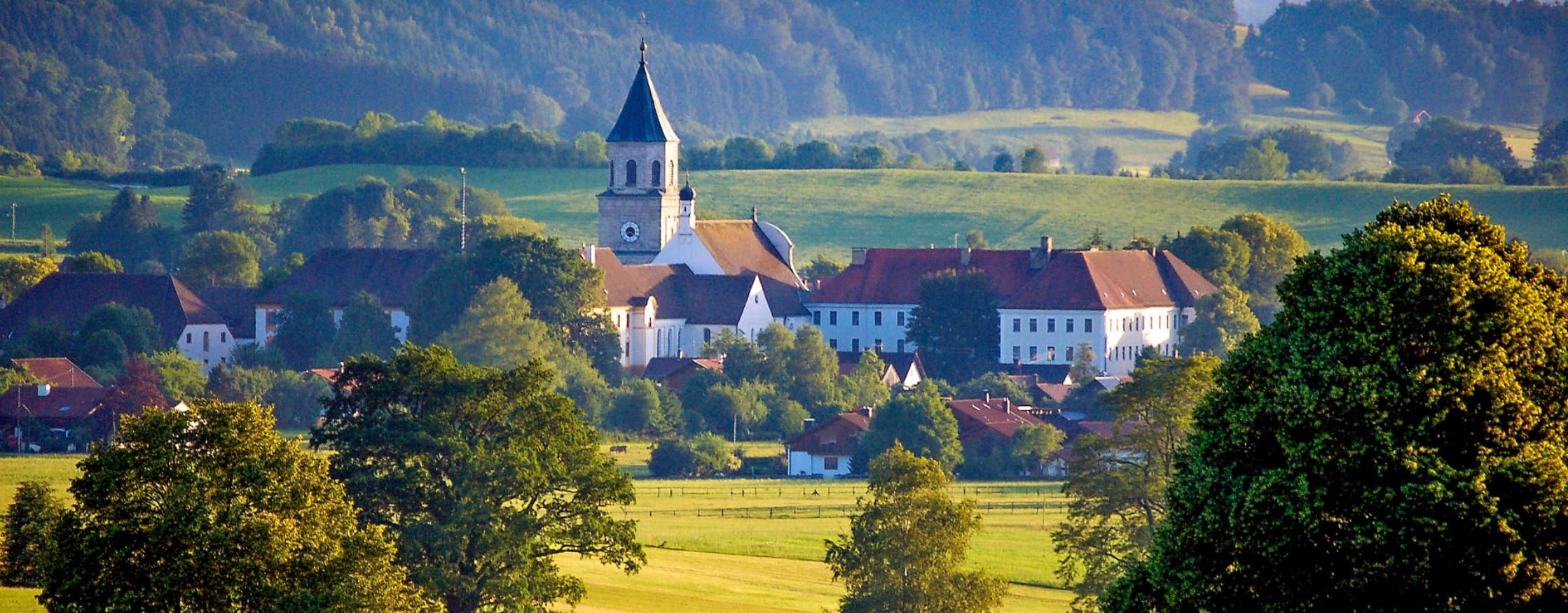 Ansicht Polling
